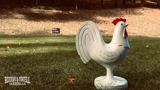 【新品未使用】ラフアンドスウェル　STANFORD TURTLE Mサイズ 新品未使用】ラフアンドスウェルSTANFORD TURTLE Mサイズ